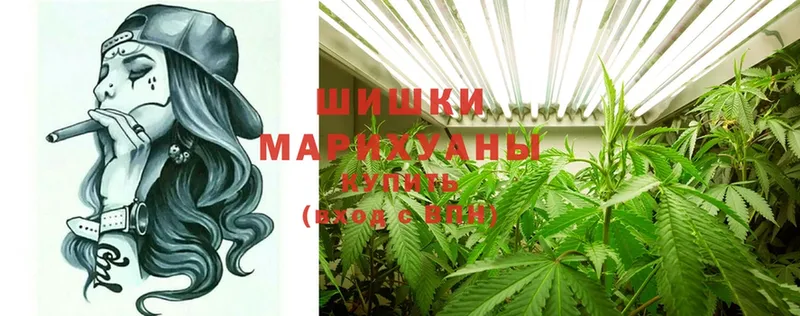 МАРИХУАНА гибрид  купить закладку  Махачкала 